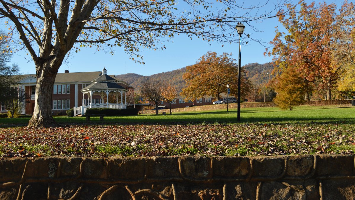 Ground-level view of empty park with gazebo during fall, with orange trees in background