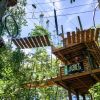 View from ground of trees, aerial bridge and 2 men on wooden platform at SKYWILD Treetop Adventure Park