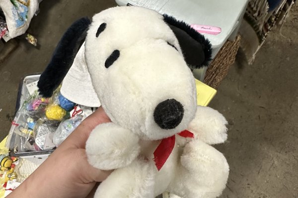 Closeup of Snoopy stuffed animal with other antiques in background