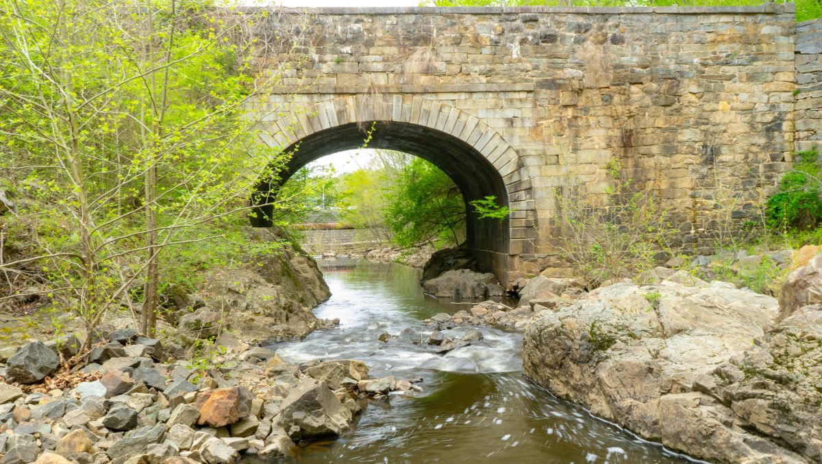 Stream flowing underneath bridge in Roanoke Rapids