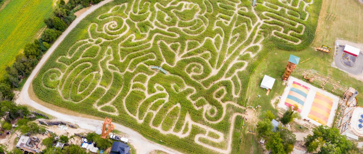 Aerial view of corn maze at Kersey Valley