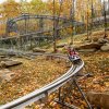 Person riding down mountain alpine coaster surrounded by bright fall foliage
