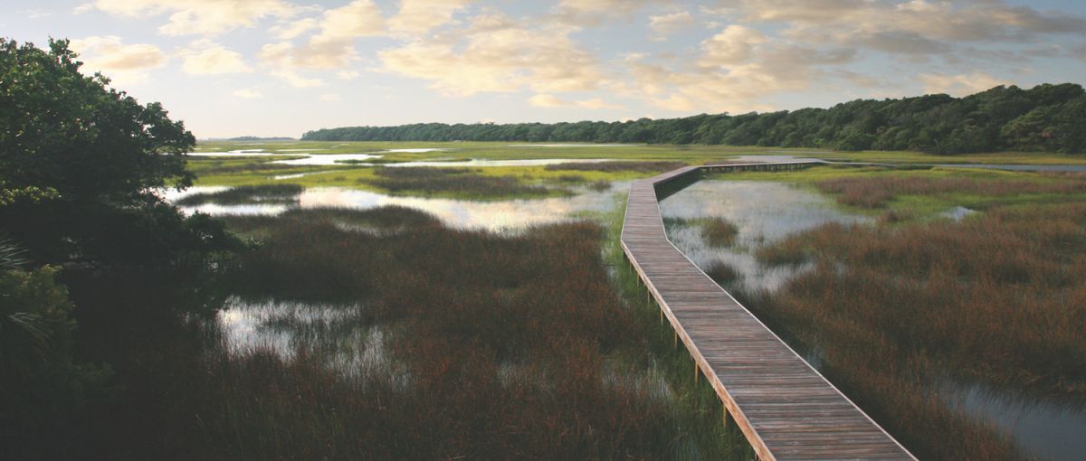 Take a relaxing stroll or paddle along Bald Head Creek