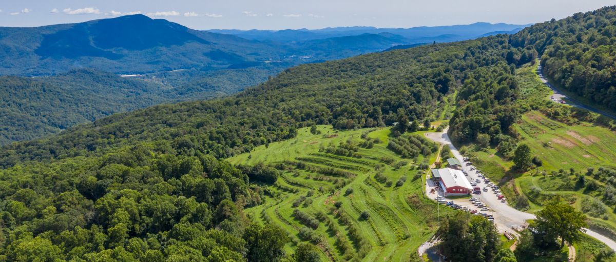 Aerial of Orchard at Altapass with green trees surrounding grounds with mountains in background