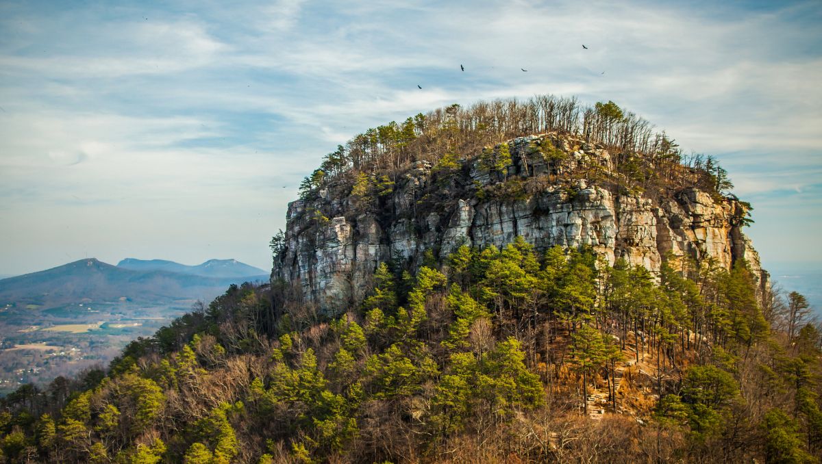 Birds flying above knob of Pilot Mountain during daytime