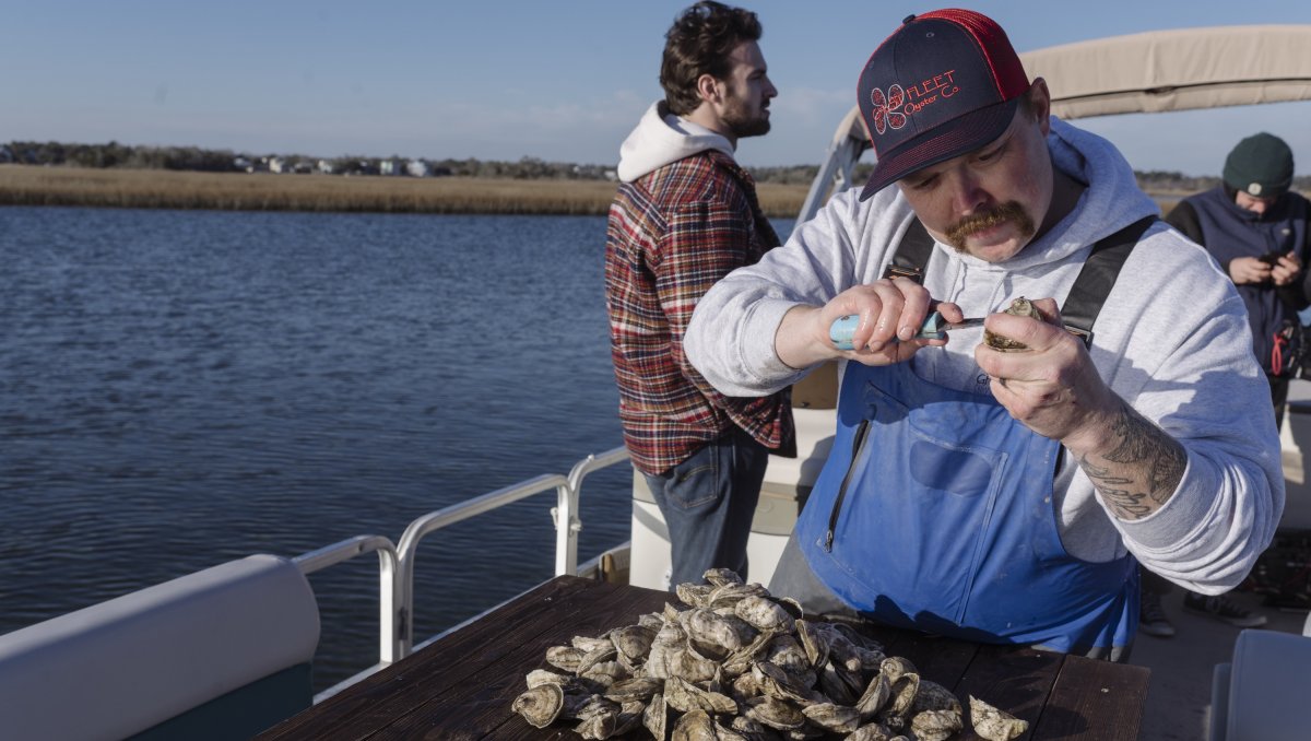 Man shucking oysters on boat in water with guests in background