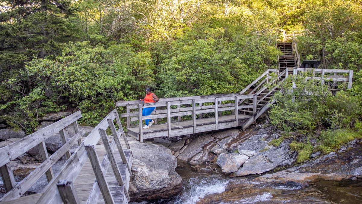 Hiker walking down wooden walkways over river surrounded by green trees