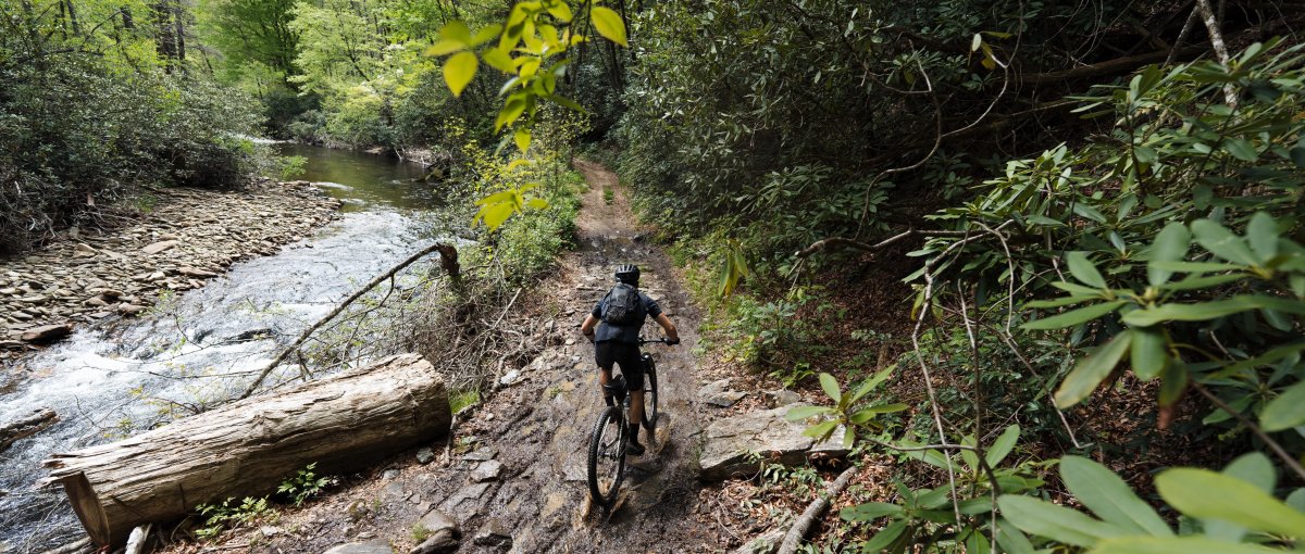 Back of single biker racing through muddy trail with stream on the left, surrounded by green trees and foliage during daytime.
