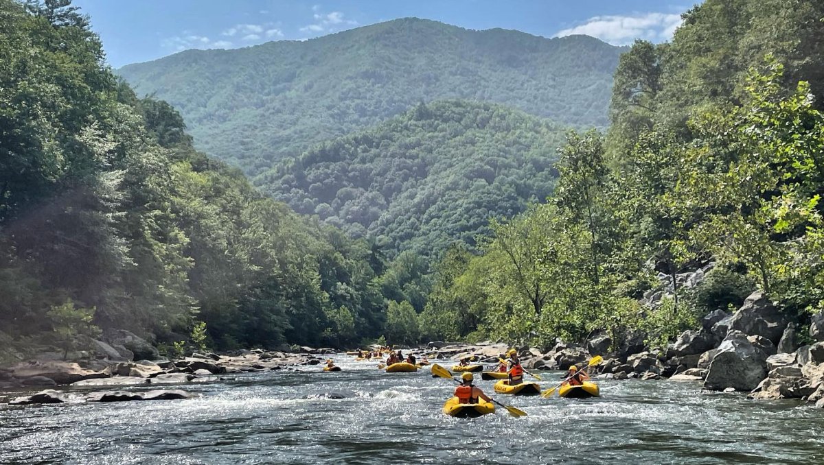 Paddlers on river surrounded by trees and mountains in distance