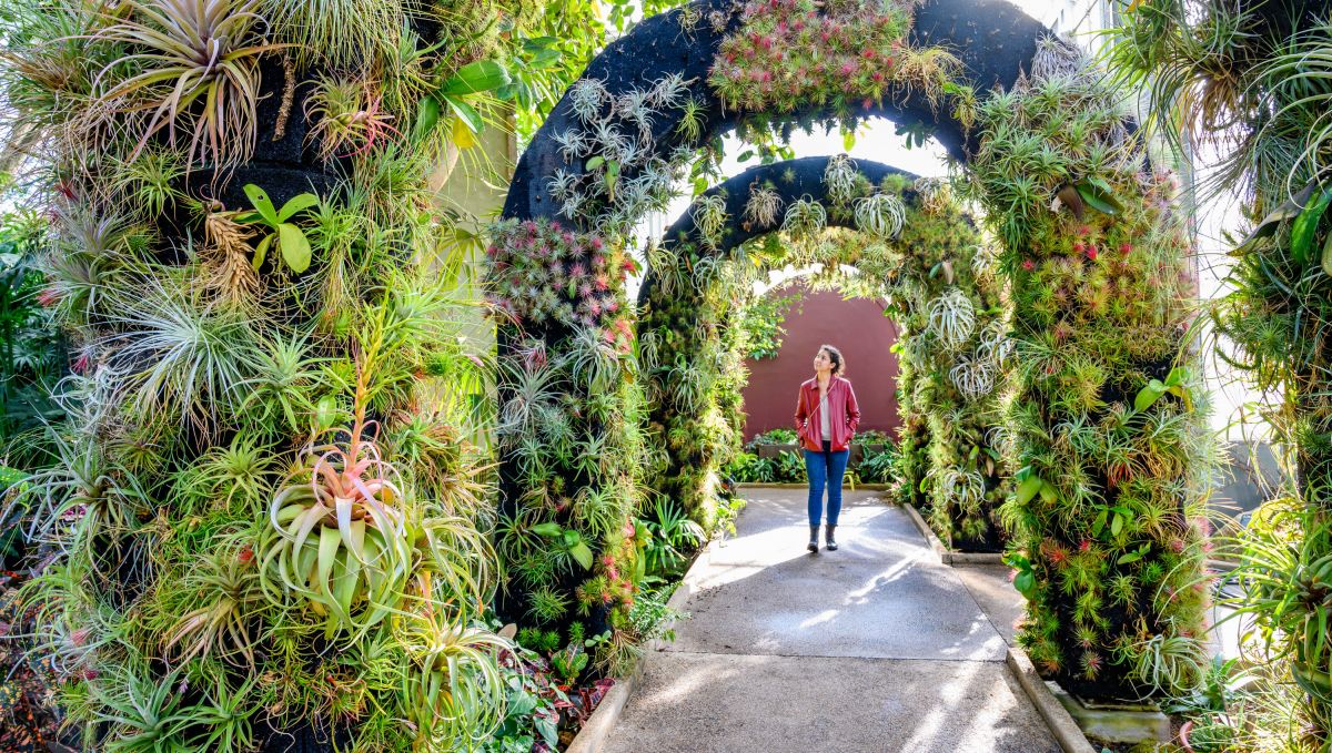 Woman walking through Daniel Stowe Botanical Garden