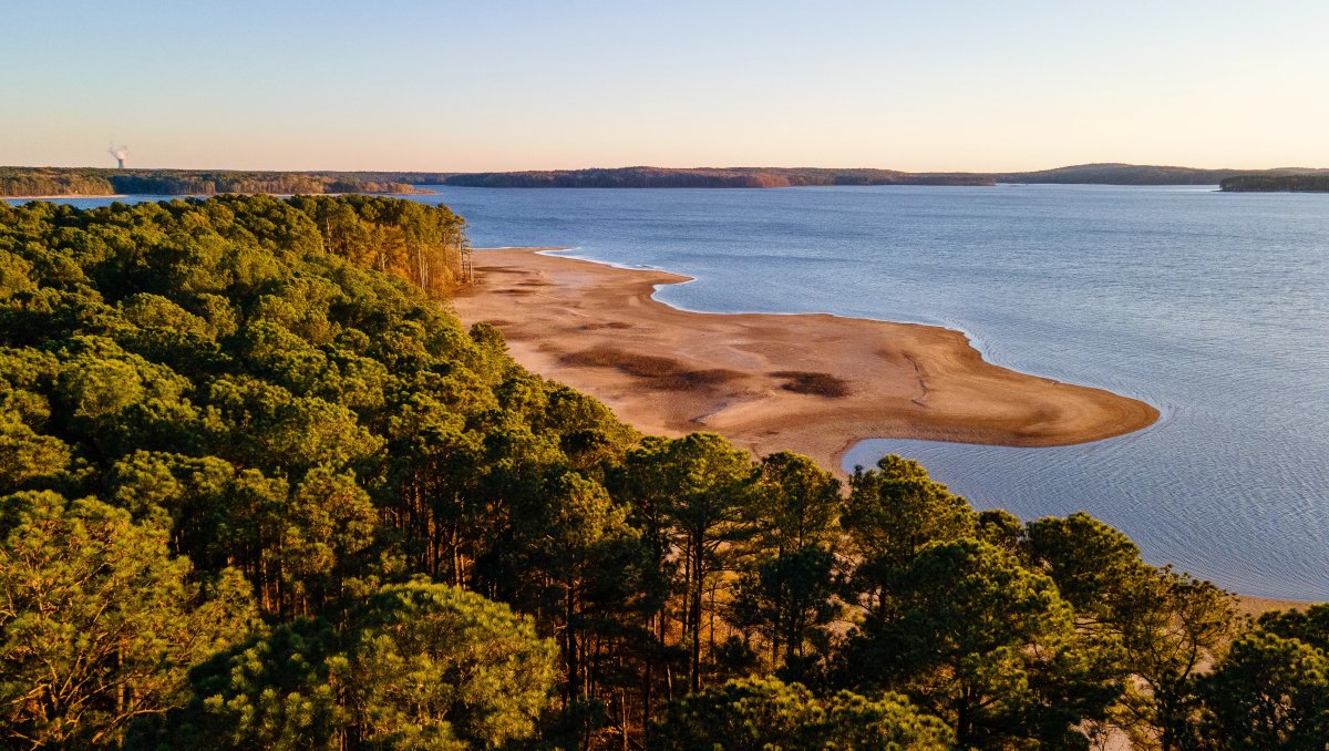 Aerial of trees, sandy beach and blue lake with shoreline in background