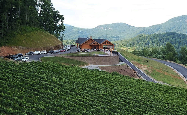 Point Lookout Vineyards