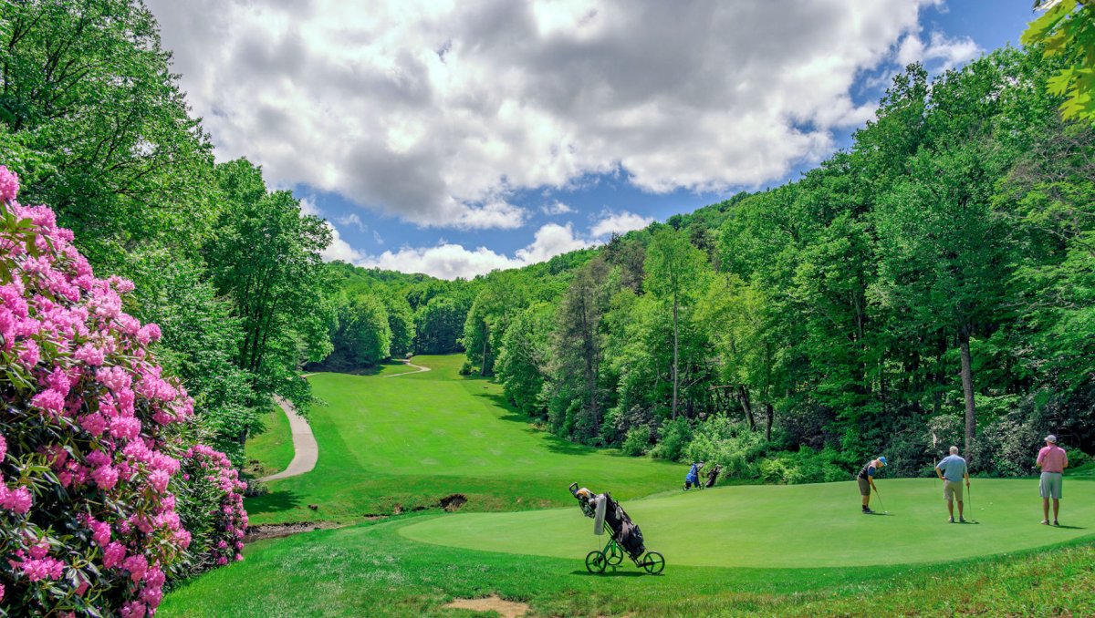 Golfers teeing off on hole surrounded by green trees and flowering plants