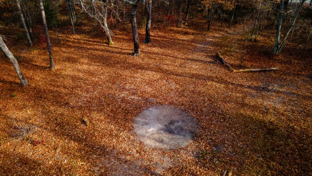 Overhead shot of empty area in woods with haunted circle of land in middle