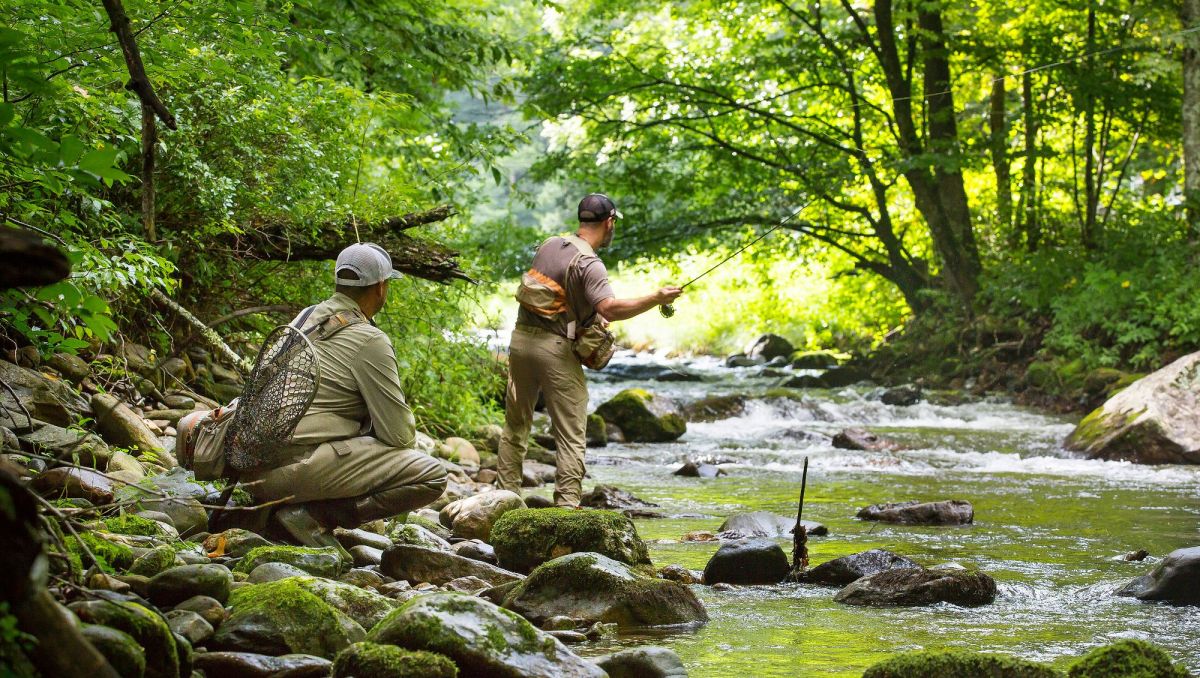 Two men fly-fishing in a river with bright green tree foliage during daytime