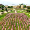 Aerial view of American flags in ground in front of museum