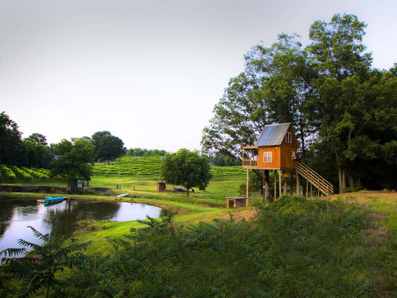 9 North Carolina Wineries Where You Can Spend the Night