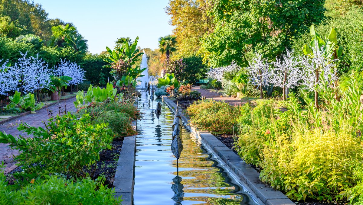 Gardens In Central North Carolina Visitnc Com