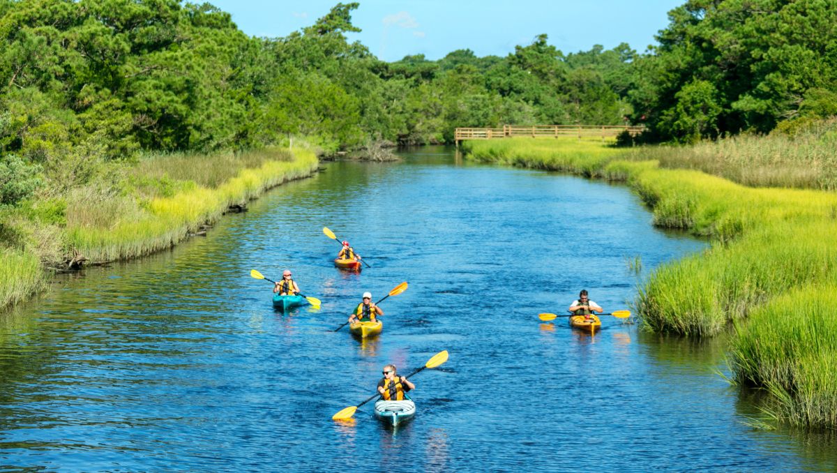 Group of kayakers in Southport on river with marsh and trees on the sides during daytime