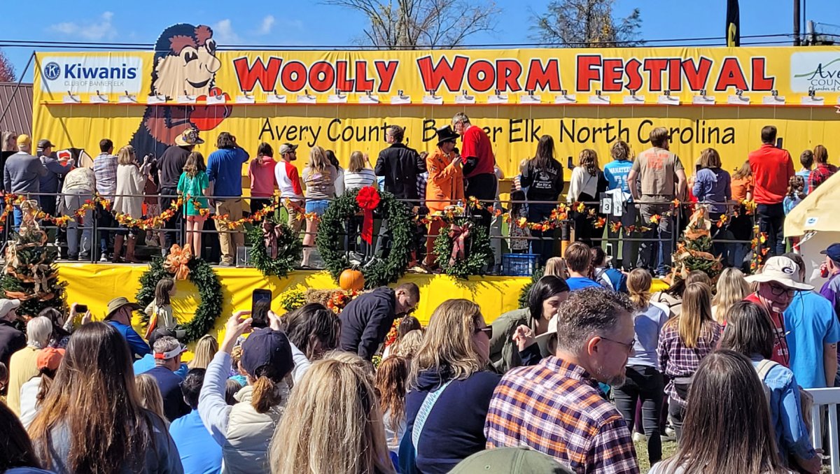 Group of people standing watching stage of other people race woolly worms up a string