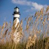 Orange sea oats in foreground with black and white lighthouse out of focus in background