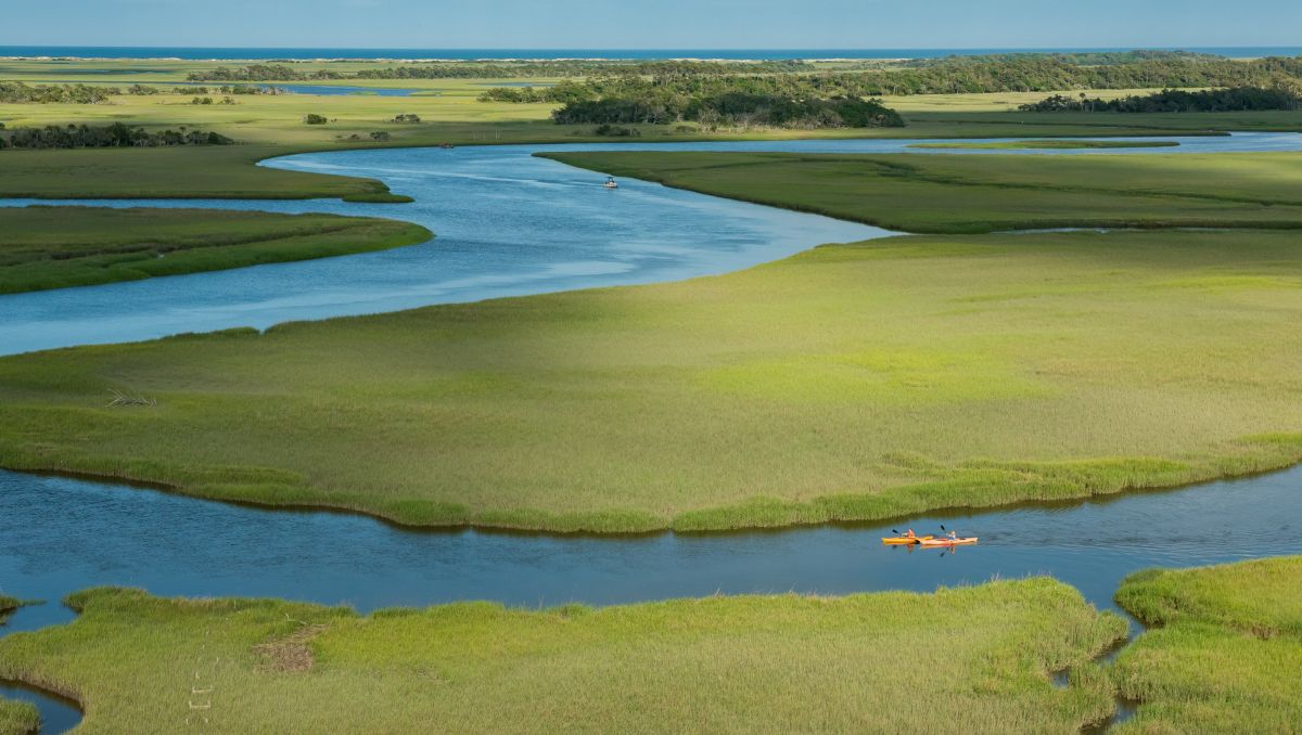 8 Must-Do Outdoor Adventures on the North Carolina Coast  VisitNC.com