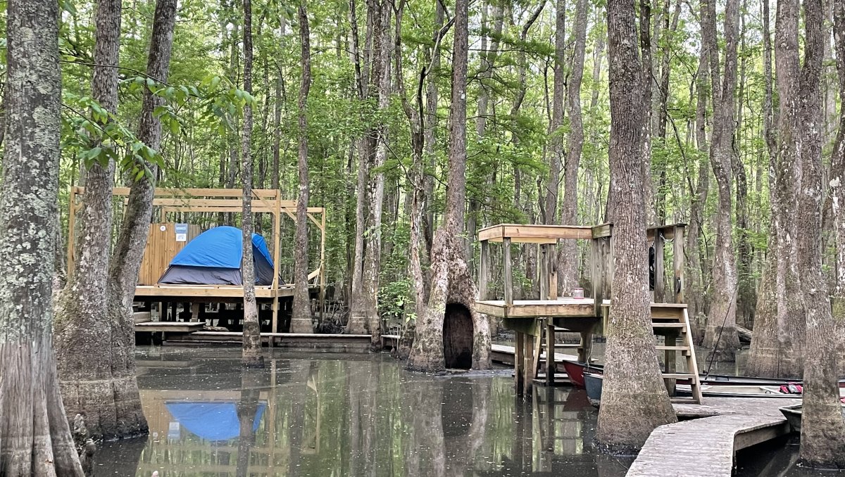 Platform campsites in Roanoke River in Martin County surrounded by forest.