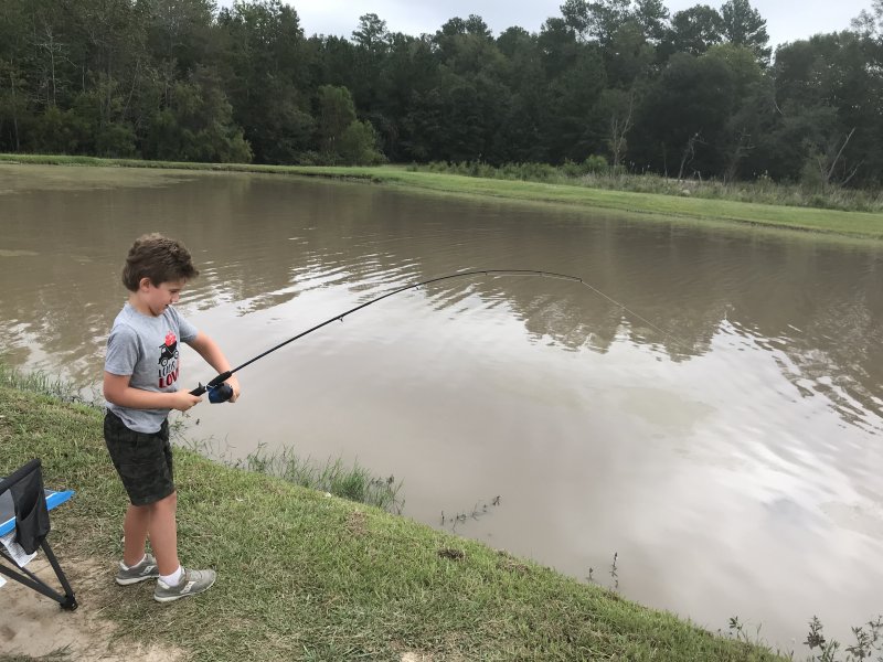 Cedar Creek Fish Farm | VisitNC.com