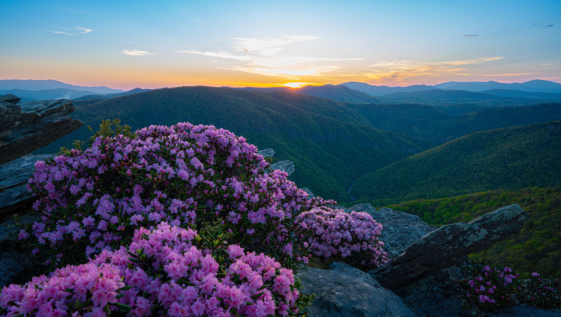 Visit North Carolina | Official NC Travel & Tourism Website | VisitNC.com