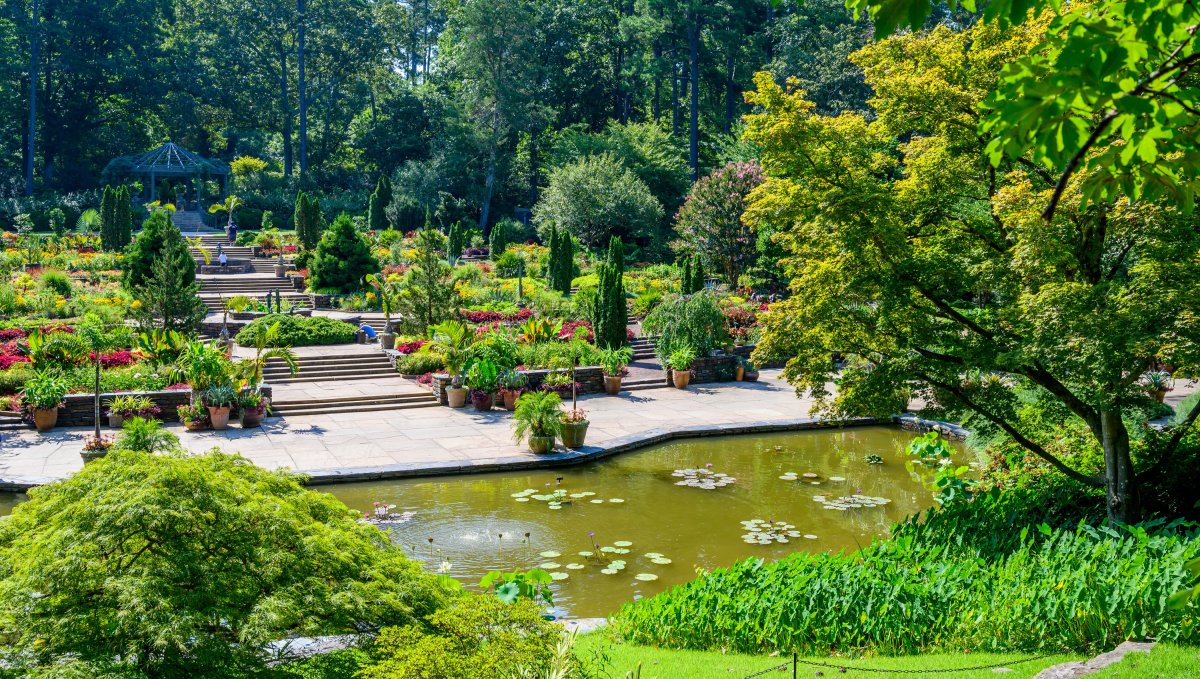 North Carolina Wildflower Week - North Carolina Botanical Garden