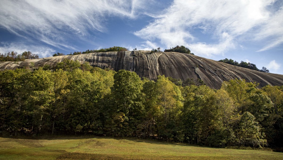 A massive granite dome rises above a dense forest of green and golden trees, under a vivid blue sky with wispy clouds. The smooth, sloping rock face showcases natural striations and cracks, contrasting with the lush landscape below.