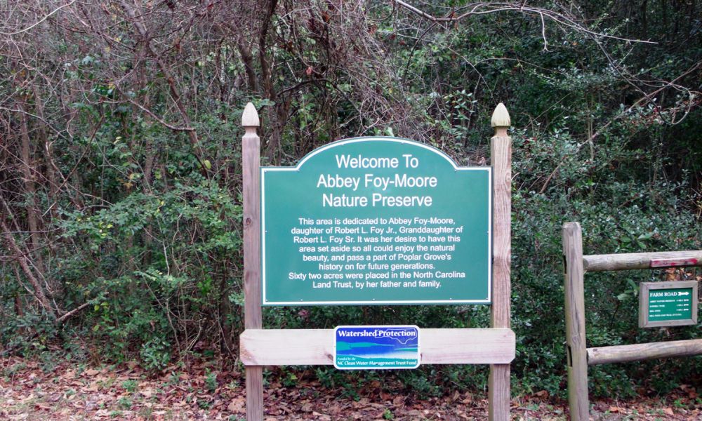 Afdeling Glorious undgå Abbey Nature Preserve | VisitNC.com