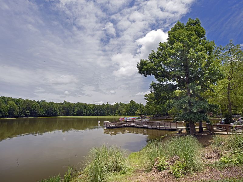 Escape To Dan Nicholas Park: Your NC Adventure Awaits!