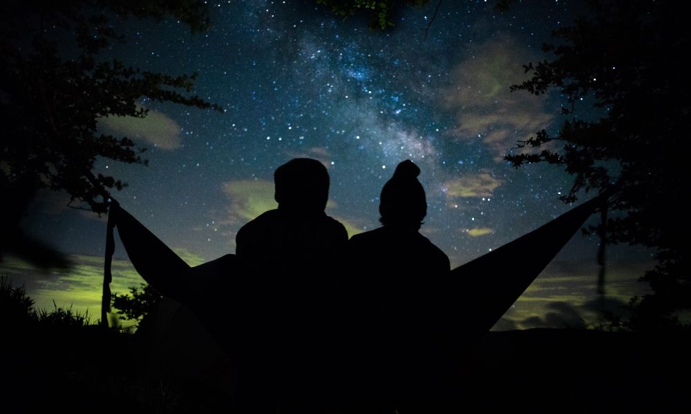 Blue ghost fireflies are shining brightly now across Western North Carolina