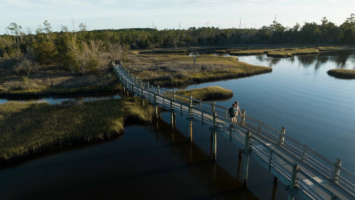 Aerial of two people walking on bridge over marsh in coastal forest