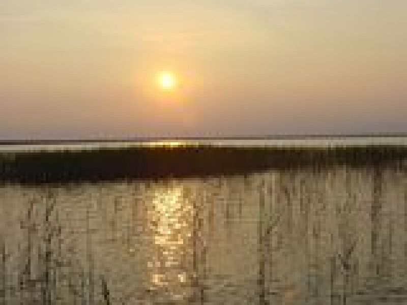 Lake Waccamaw State Park