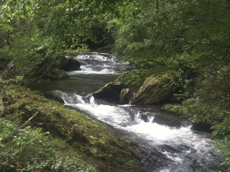 Curtis Creek Campground in Old Fort, NC