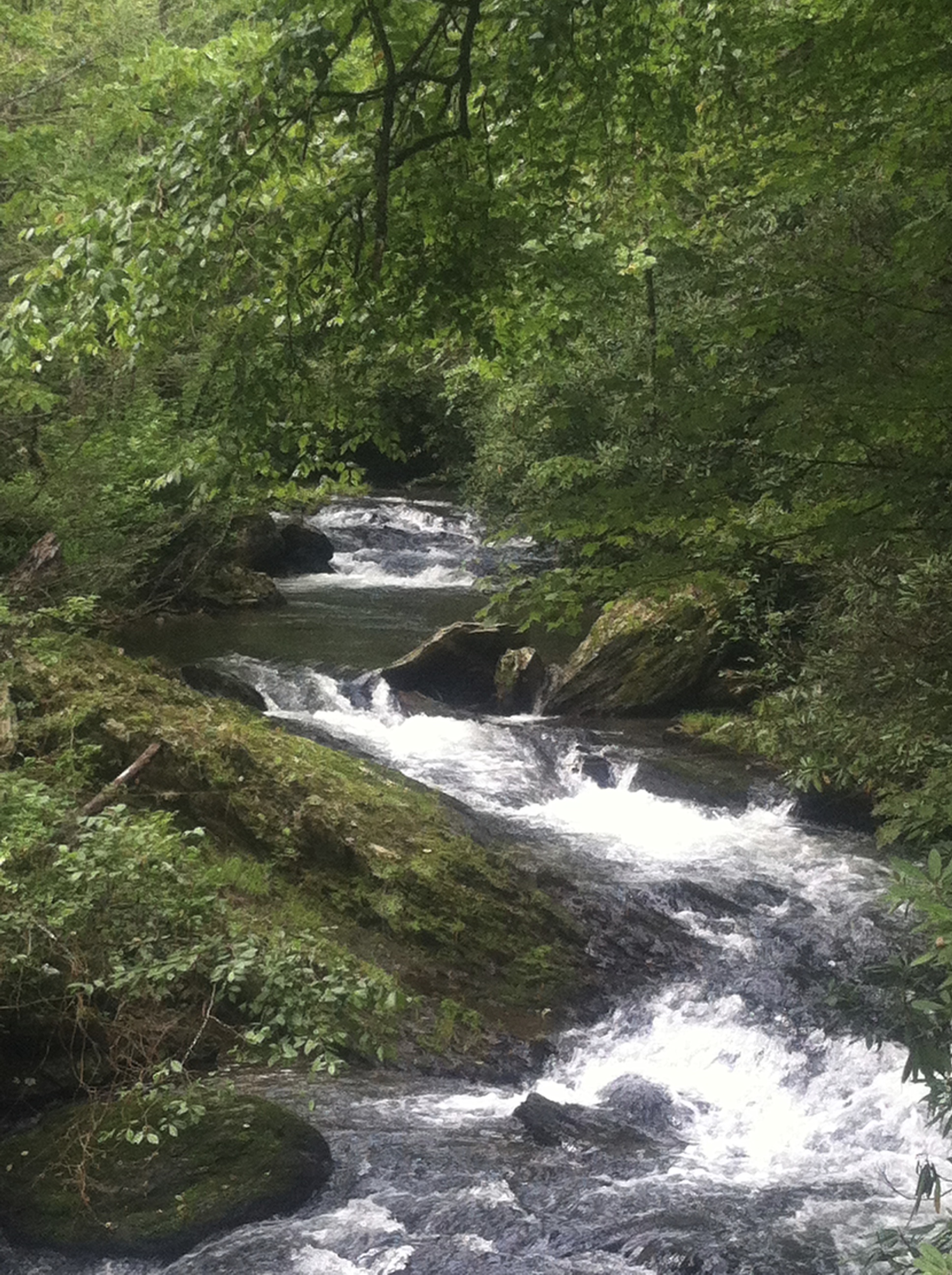 Curtis Creek Campground in Old Fort, NC | VisitNC.com