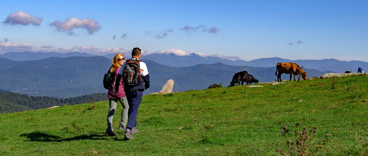 Couple walking on hill with animals and mountains in background