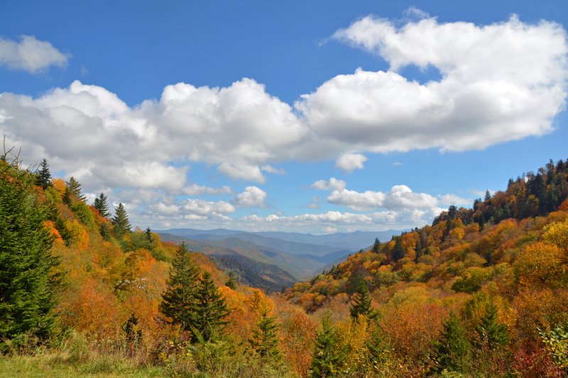 See Fall Colors in Bryson City and the Great Smoky Mountains