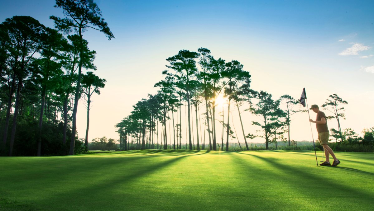 Golf on green holding flag with tall trees in background.