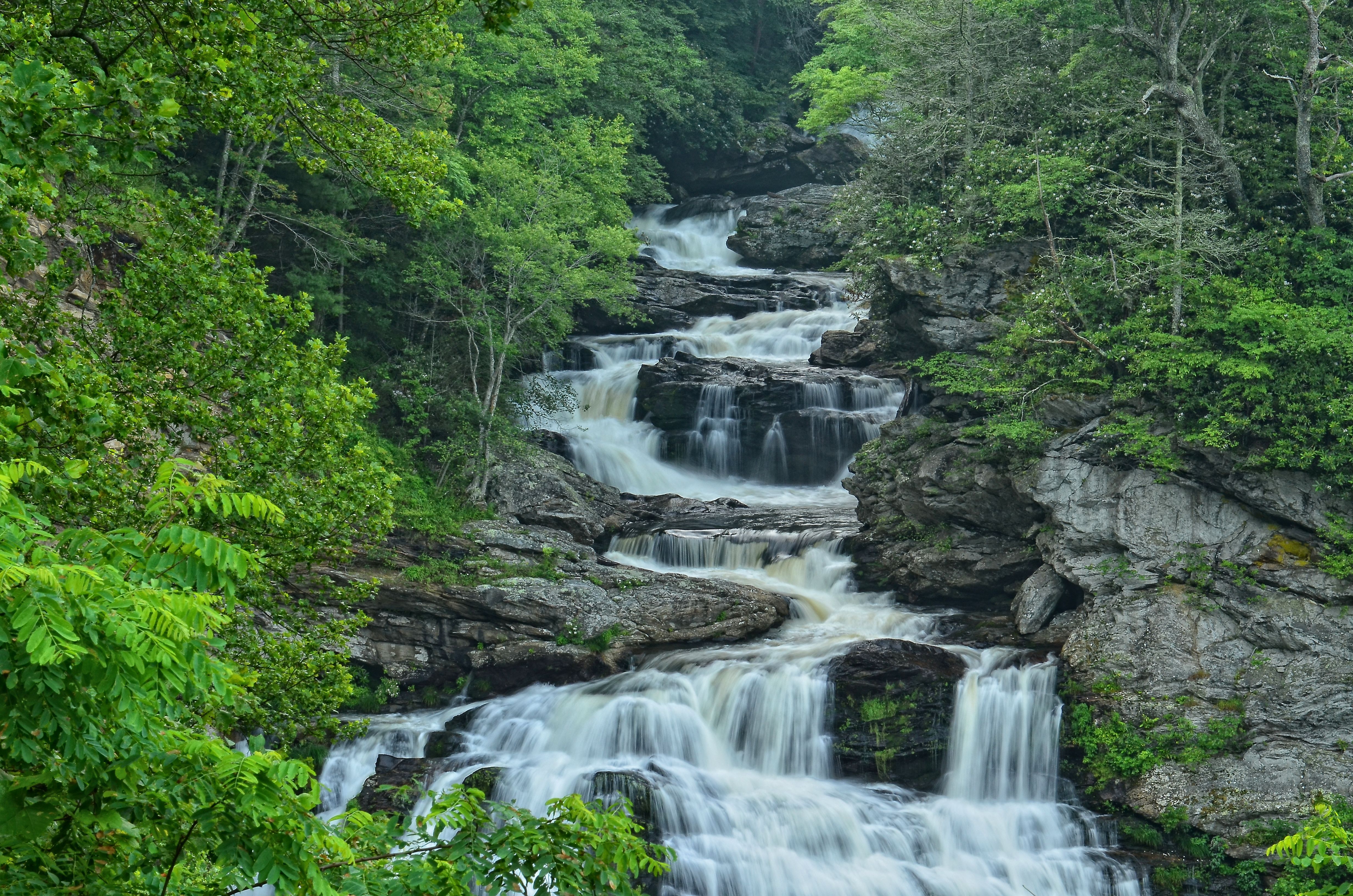 Nantahala national forest best sale hikes