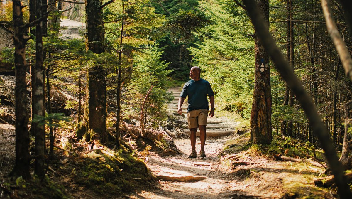 Man walking on trail surrounded by tree