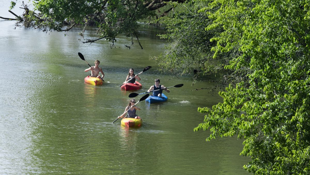 Four friends kayaking on the Neuse River with trees to the right during daytime