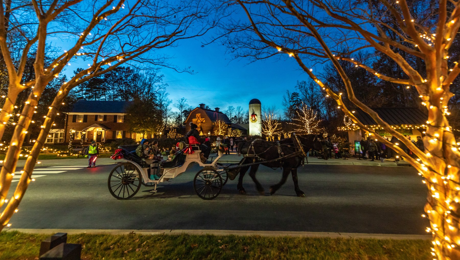 Horse-drawn carriage in road in front of lit-up library at night during Christmas