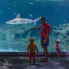 Man pointing at shark with two small children at glass of indoor aquarium