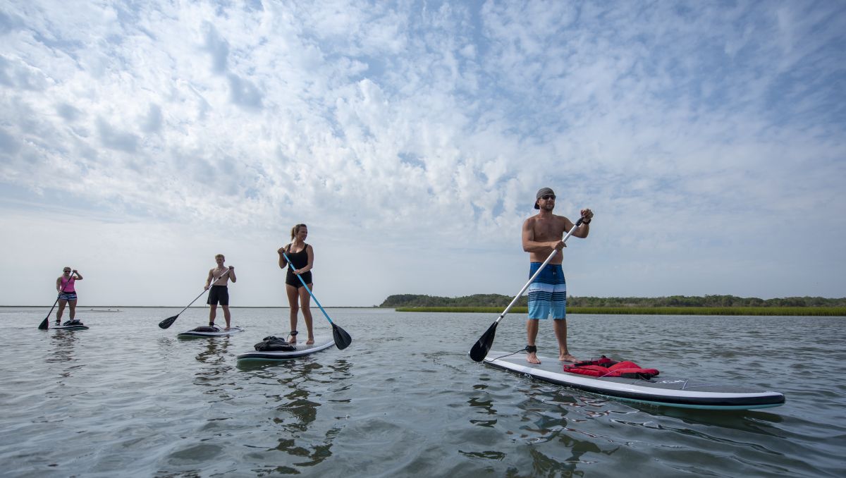 Group of four friends on stand-up paddleboards in calm water with land behind them during daytime