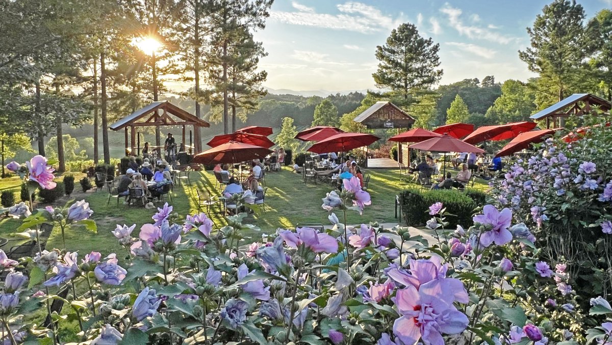 People sitting outside under red umbrellas at winery with flower in foreground and mountains in background.