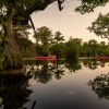 Two couples canoeing through Merchants Millpond State Park  surrounded by trees