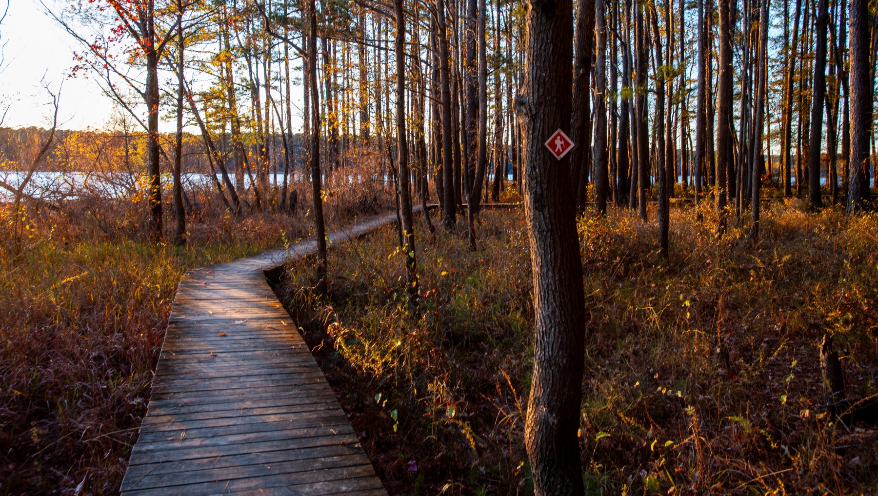 Wood walkway meandering through winter woods with lake in background.